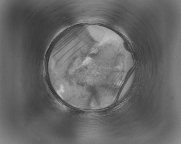 X0000068821079200606021611