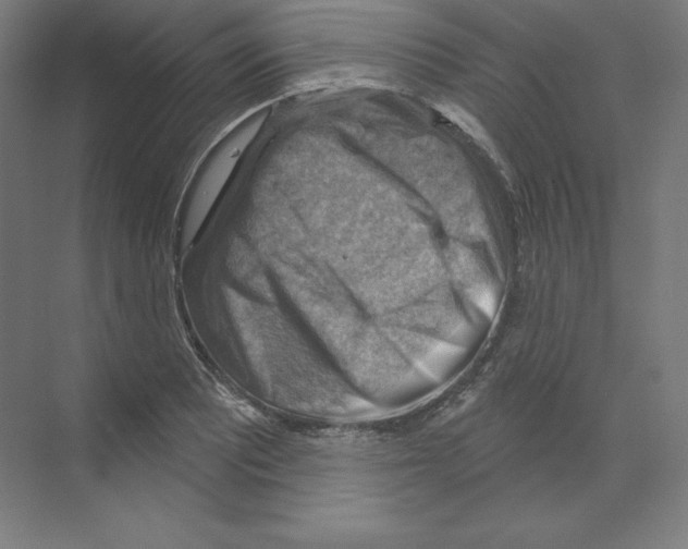 X0000068821081200606021611