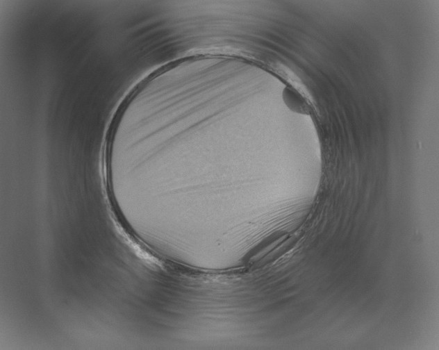X0000068821084200606021611