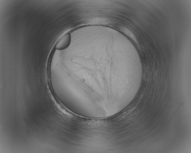 X0000068821087200606021611