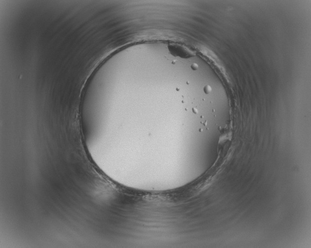 X0000068821089200606021611
