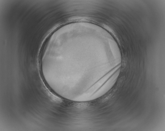 X0000068821090200606021610