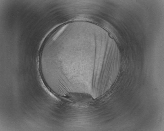 X0000068821092200606021610