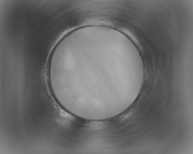 X0000068821094200606021610