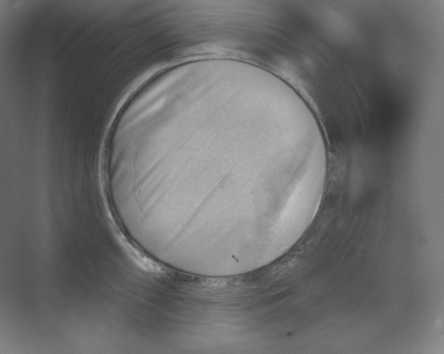 X0000068821098200606021610