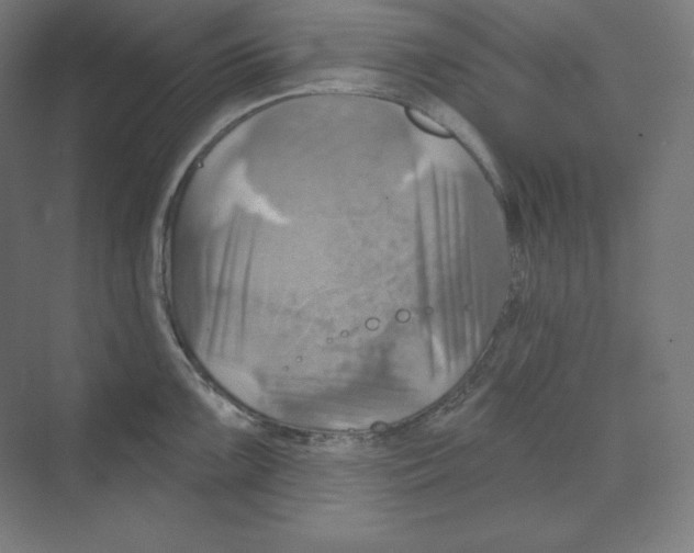 X0000068821099200606021610