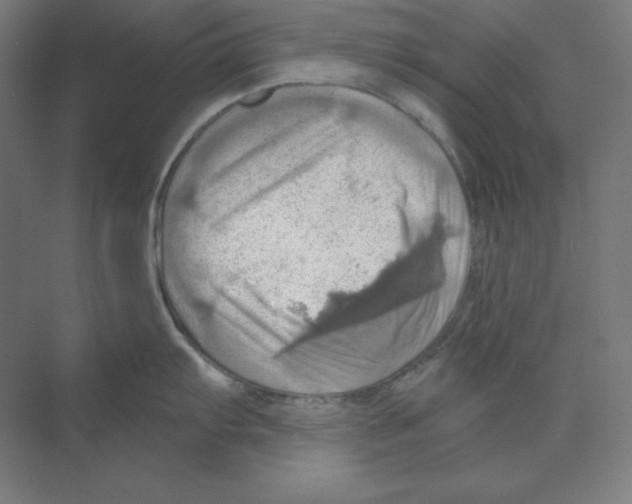 X0000068821103200606021610