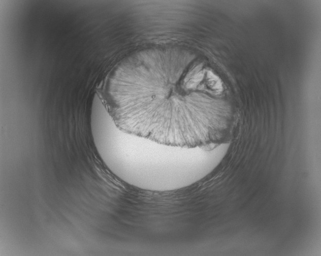 X0000068821106200606021609