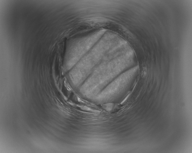 X0000068821108200606021609