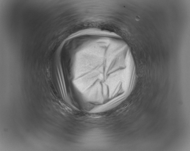 X0000068821109200606021609
