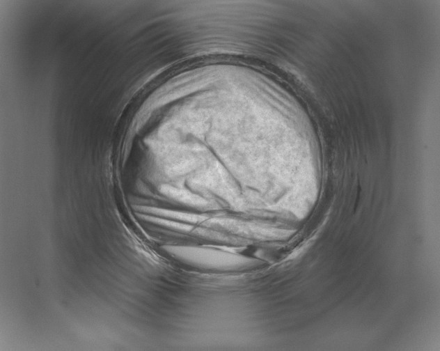 X0000068821113200606021610