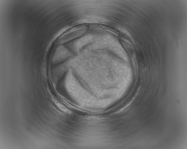 X0000068821114200606021610