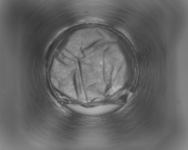 X0000068821115200606021610