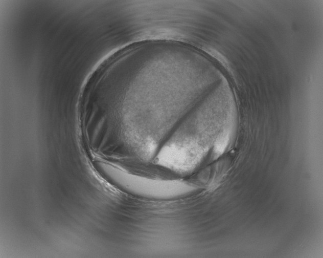 X0000068821120200606021610