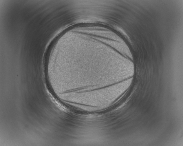 X0000068821122200606021610