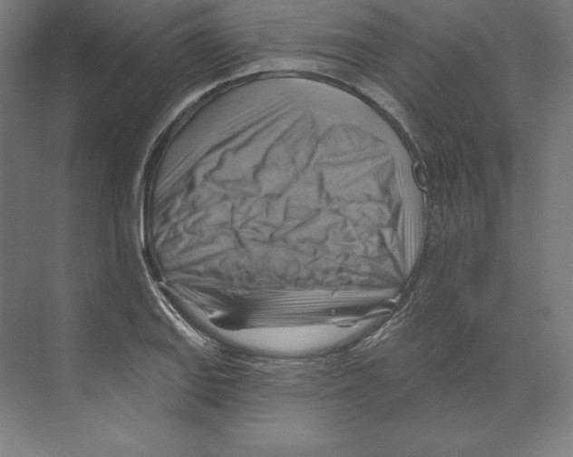 X0000068821127200606021610