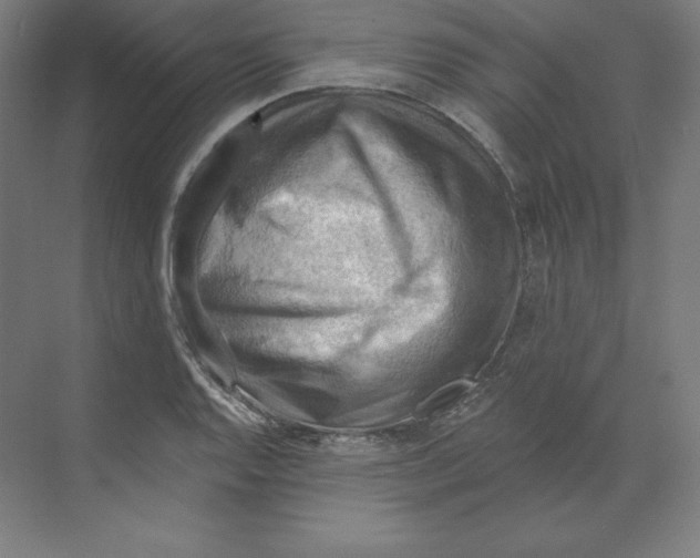 X0000068821128200606021610