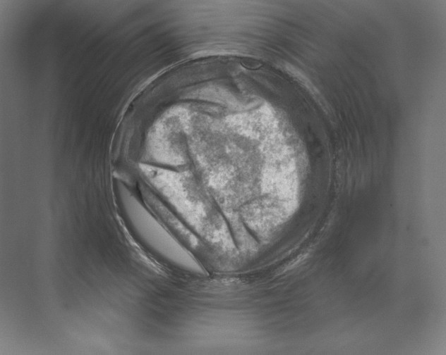 X0000068821129200606021610