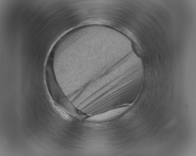 X0000068821132200606021610