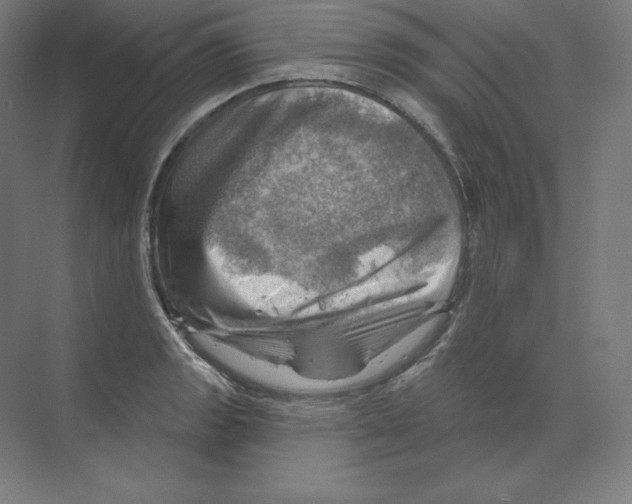 X0000068821133200606021610