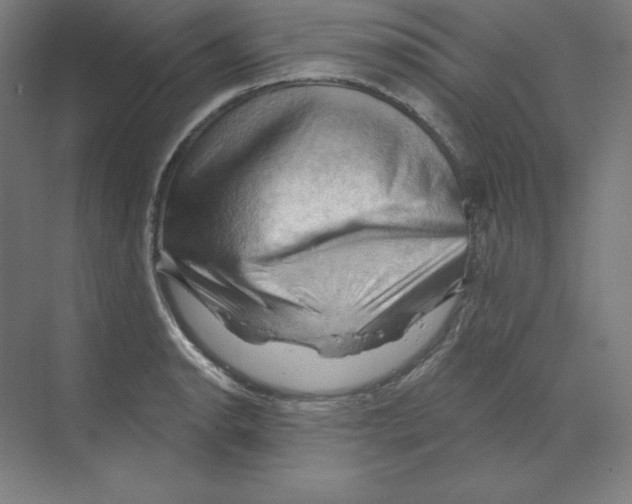 X0000068821134200606021610
