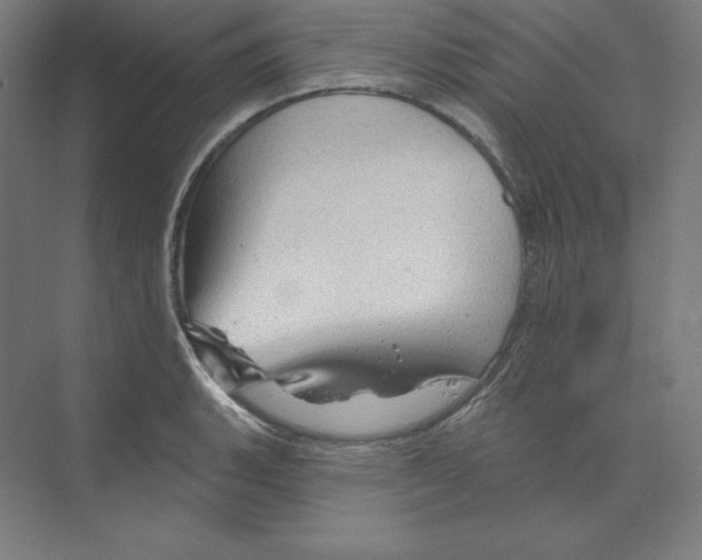 X0000068821135200606021610