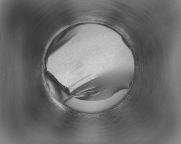 X0000068821136200606021610