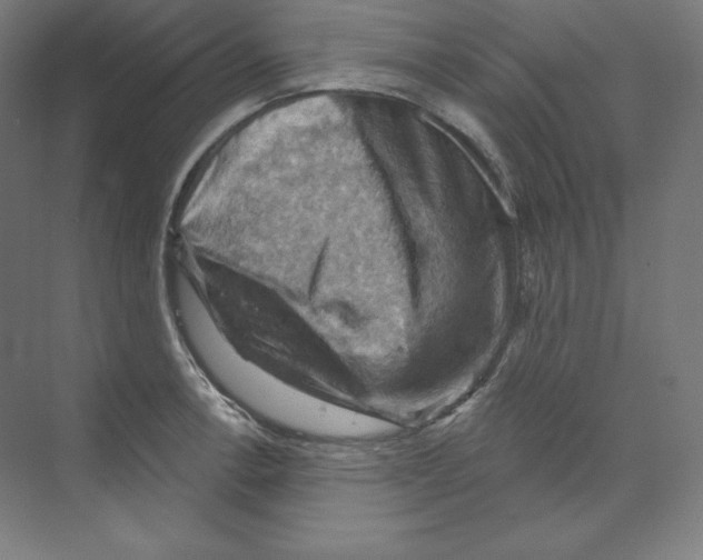 X0000068821138200606021610
