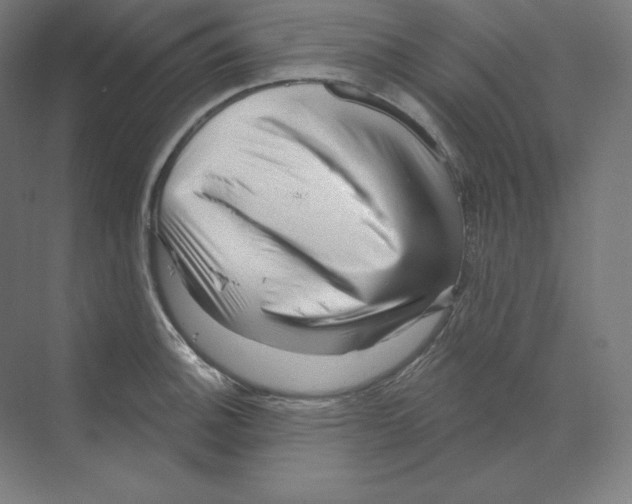 X0000068821140200606021610