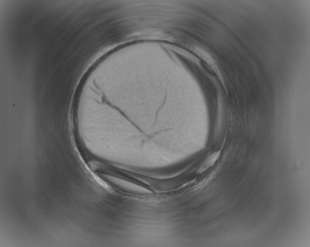 X0000068821141200606021610