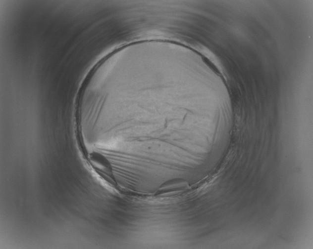X0000068821142200606021610