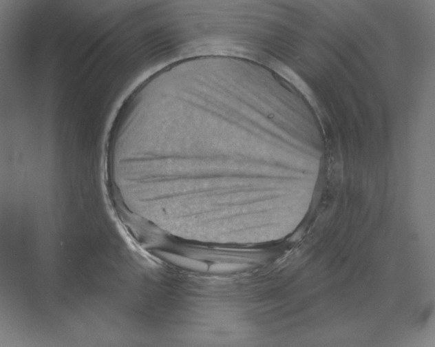 X0000068821144200606021610