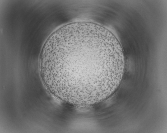 X0000068821150200606021610