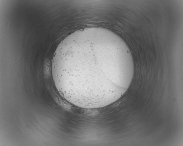 X0000068821154200606021609