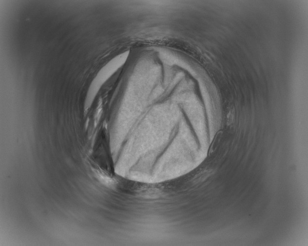 X0000068821156200606021609