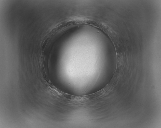 X0000068821157200606021609