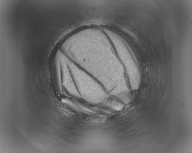 X0000068821160200606021609