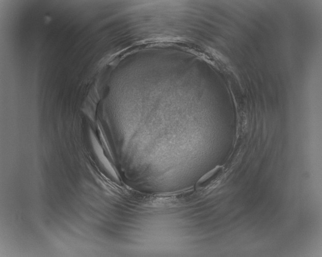 X0000068821161200606021609