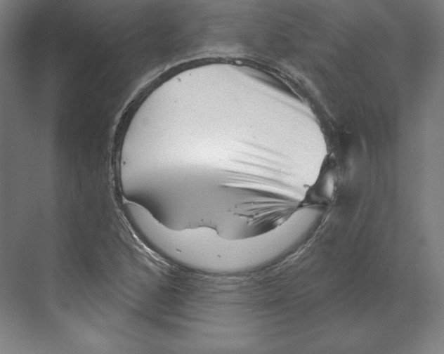 X0000068821168200606021609
