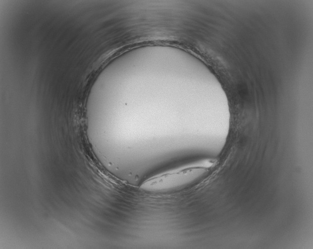 X0000068821169200606021609