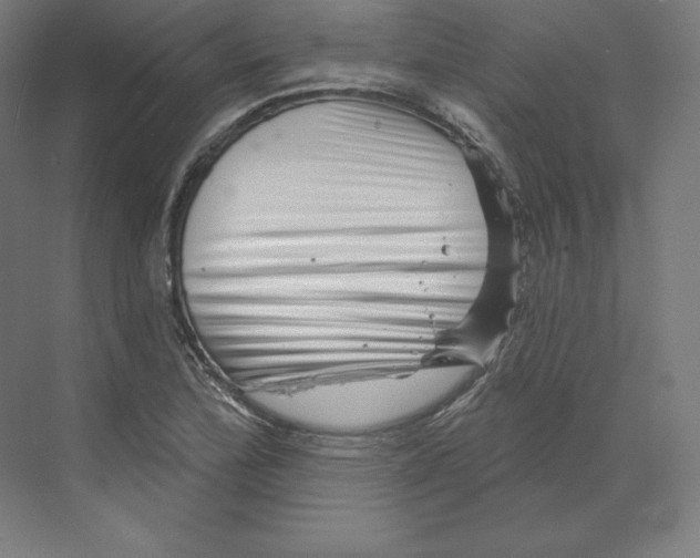 X0000068821172200606021609