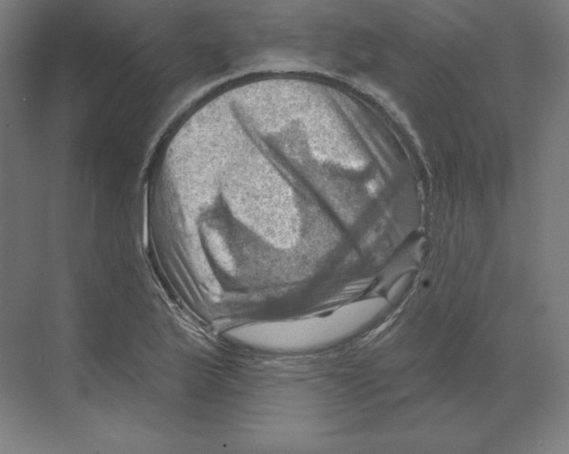 X0000068821175200606021609