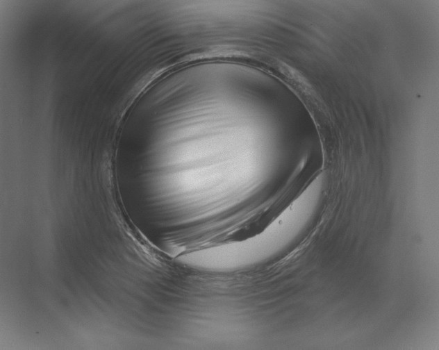 X0000068821177200606021609