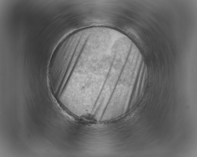 X0000068821182200606021609