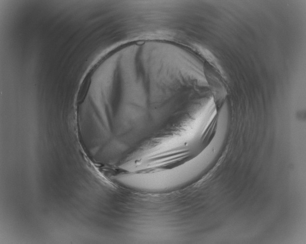 X0000068821184200606021609