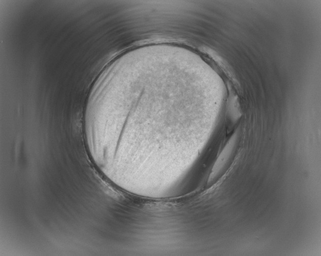X0000068821185200606021609