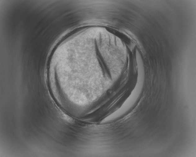 X0000068821188200606021609