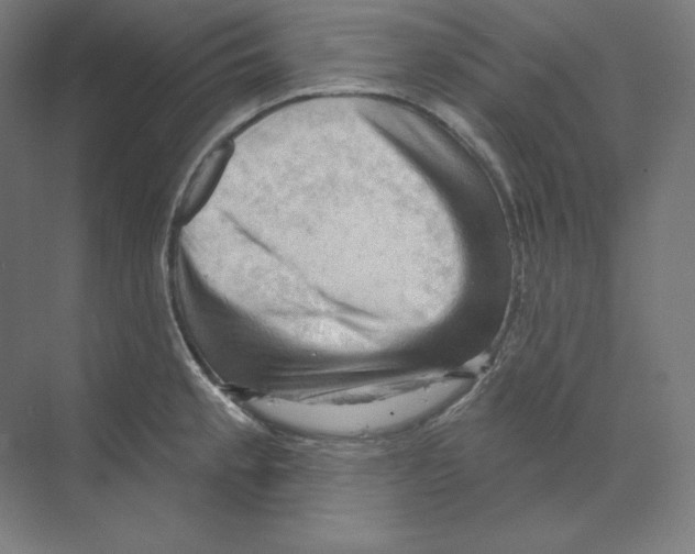 X0000068821189200606021609