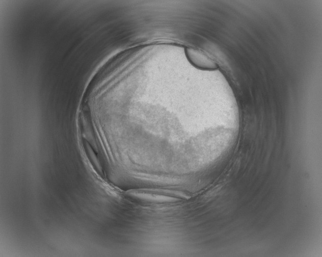 X0000068821190200606021609
