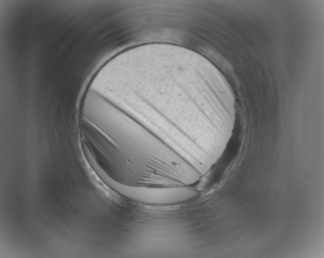 X0000068821200200606021609